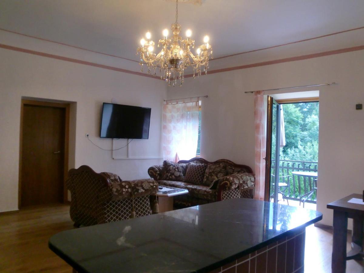 Garten- & Loggia-Appartement Herrenhaus Dellach im Drautal Ngoại thất bức ảnh